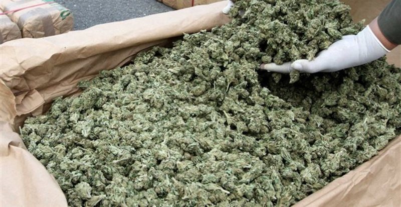 «Έσπειραν» χασίς γύρω από το σπίτι τους στην Άρτα