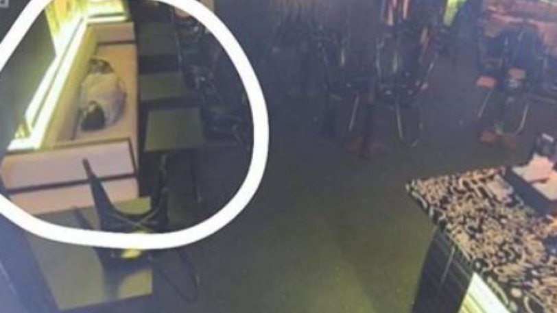 Το αφεντικό έπιασε τον εργαζόμενό του να κοιμάται και η αντίδρασή του ήταν μοναδική! (φώτο)