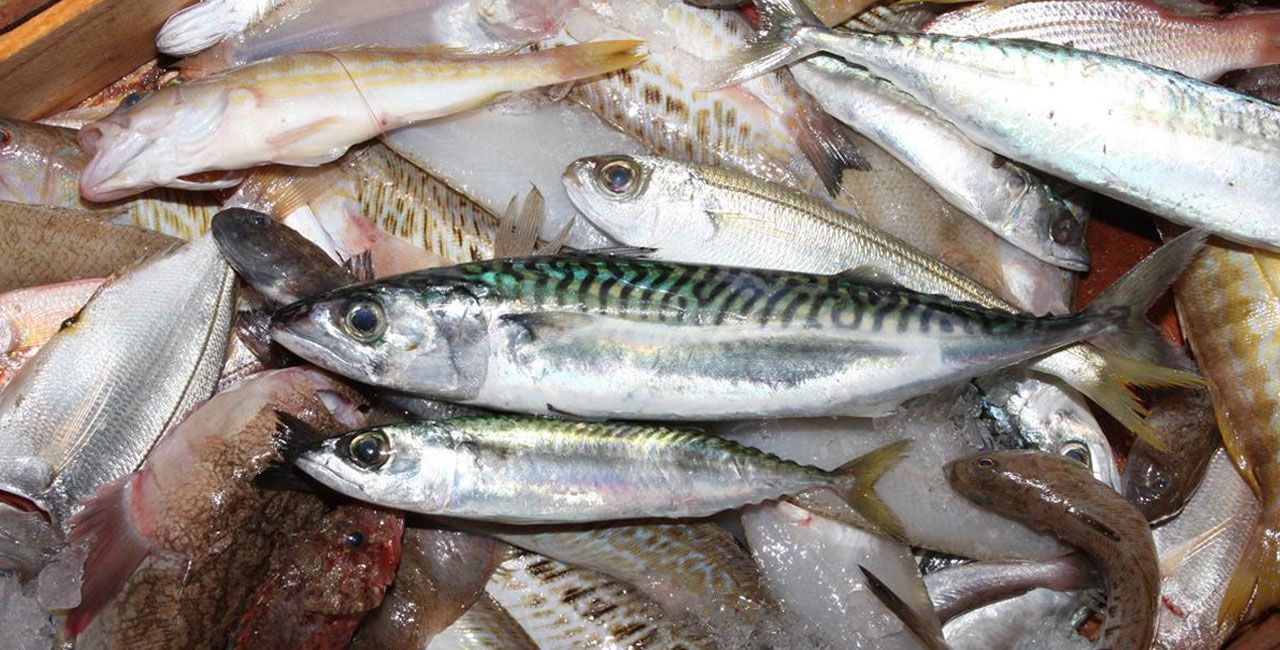 Πειραιάς: Κατασχέθηκαν ακατάλληλα ψάρια από λαϊκή αγορά