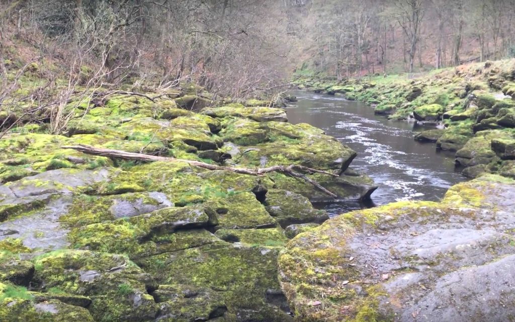 Βίντεο: Αυτό είναι το ρυάκι που όποιος βάλει το πόδι του μέσα καταλήγει… νεκρός!