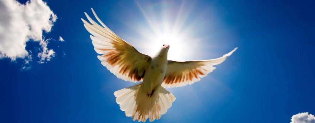 Αγίου Πνεύματος: Το νόημα της εορτής