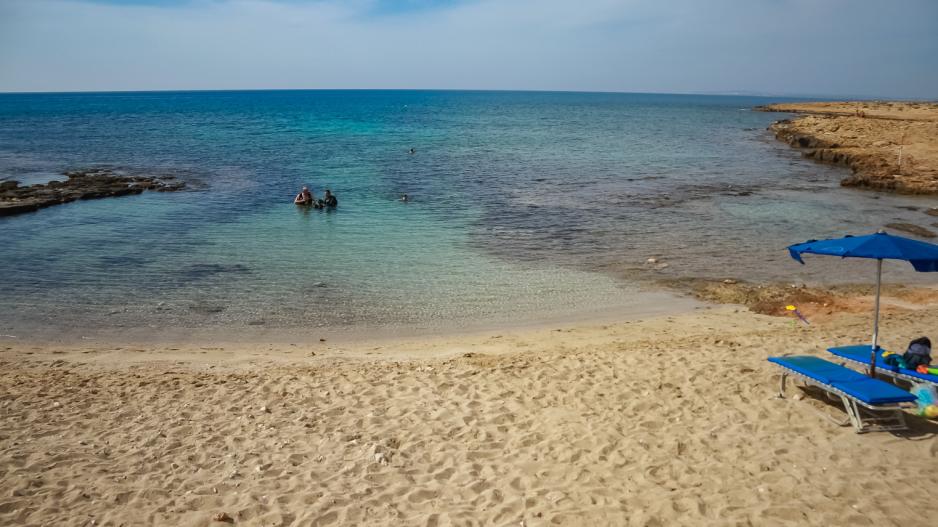 Αφωνοι οι λουόμενοι: Φίδια ζευγαρώνουν δίπλα σε ξαπλώστρες (βίντεο)