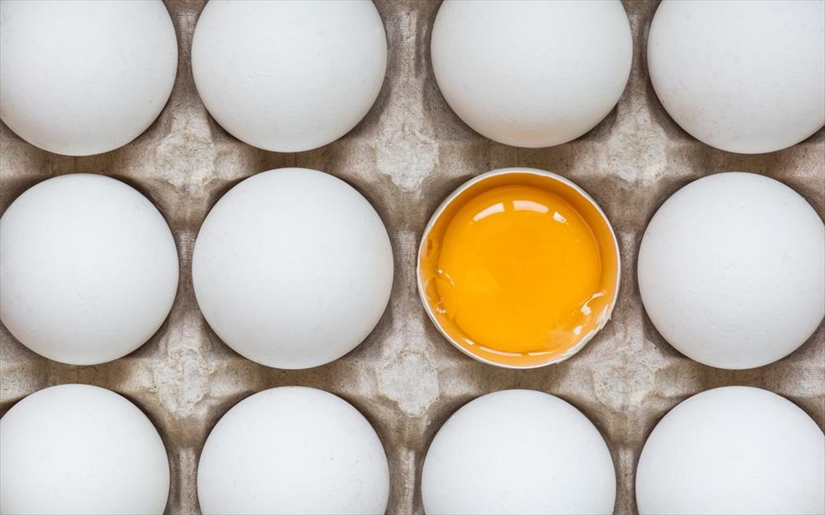 Αυγά: Τι μπορεί να δείχνει το χρώμα που έχει ο κρόκος (φωτο)