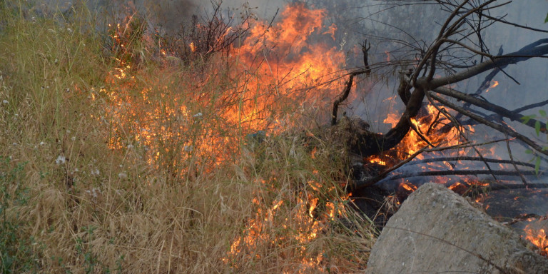 Τρεις ταυτόχρονες πυρκαγιές στην Αργολίδα – Προκλήθηκαν από κεραυνό (φώτο)