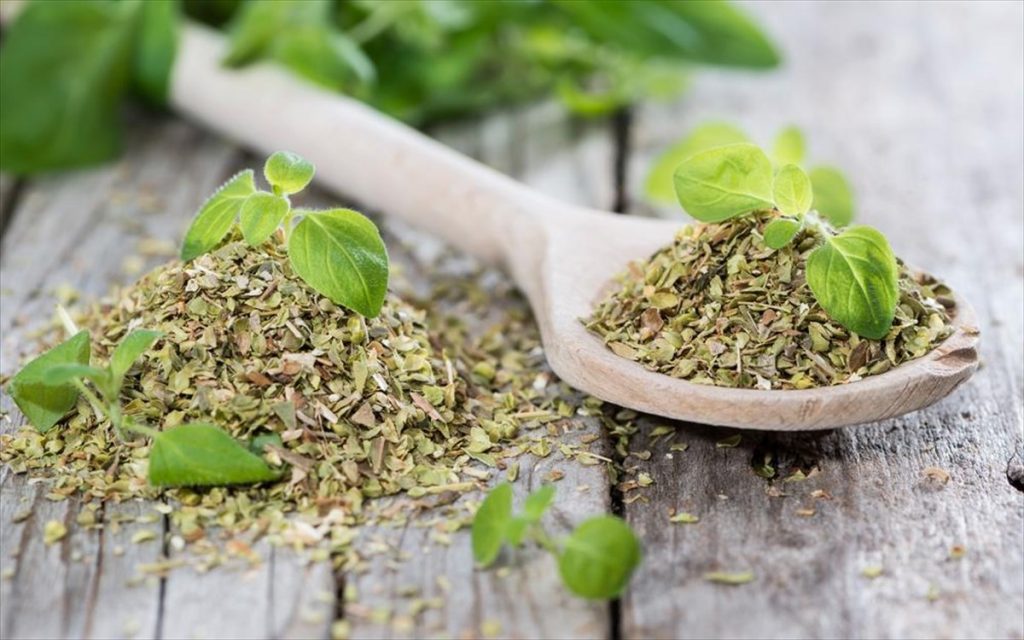 Ρίγανη: Οι αντικαρκινικές της ιδιότητες