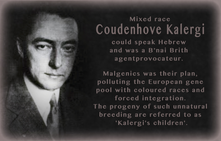 Το σχέδιο Coudenhove – Kalergi: Η γενοκτονία των λαών της Ευρώπης που σχεδιάστηκε 2 αιώνες πριν