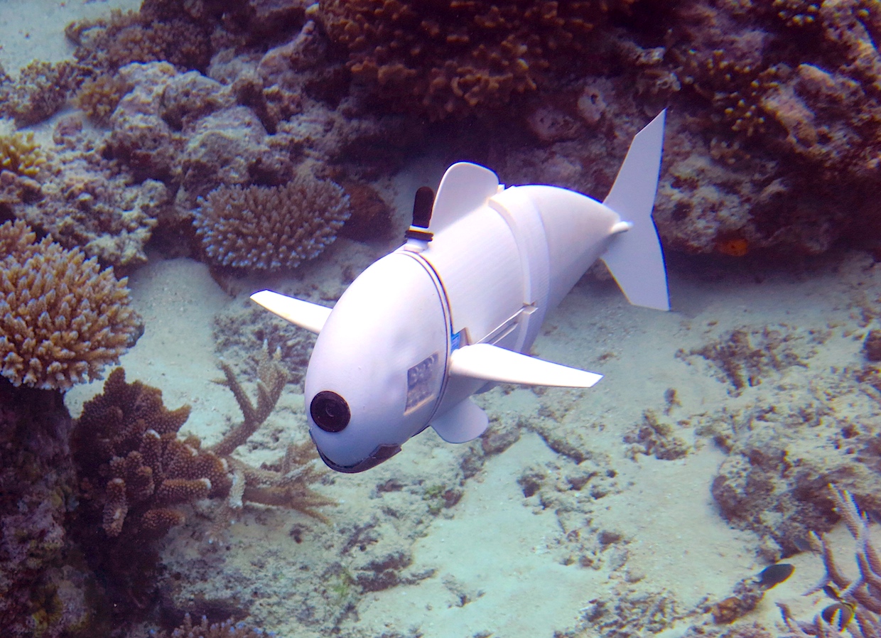 Δείτε το πρώτο ρομποτικό ψάρι που κινείται με συνθετικό αίμα (βίντεο)