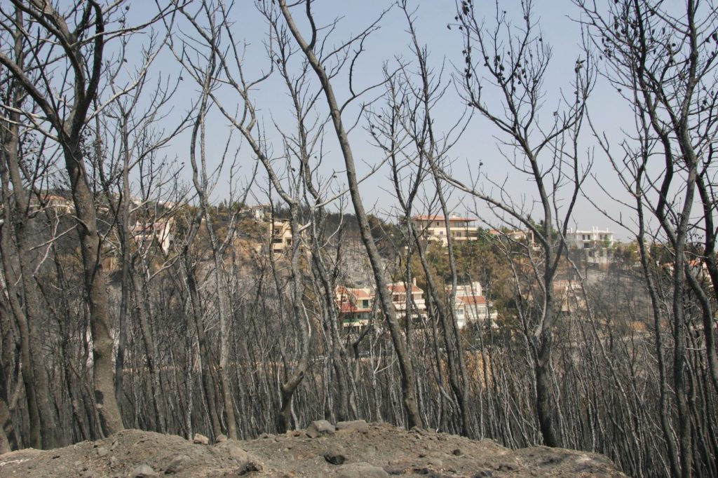 Γερμανός τουρίστας ο νεκρός που βρέθηκε στον Νέο Βουτζά