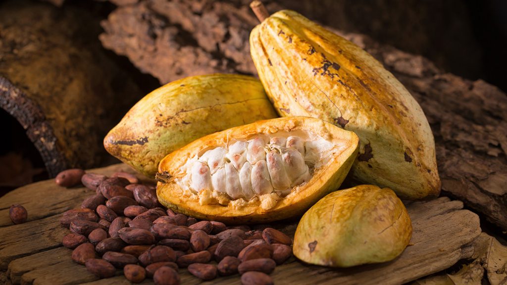 Η υπερτροφή που αναστρέφει την παχυσαρκία