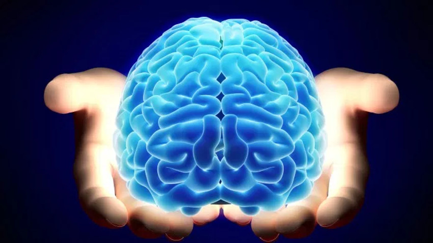 Μέσα σε 30″ μάθετε ποια πλευρά του εγκεφάλου σας κυριαρχεί – Κάντε το τεστ