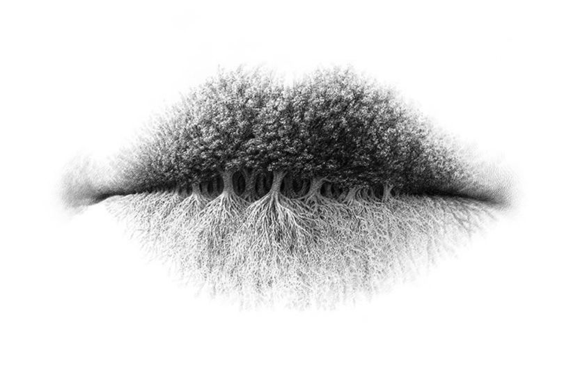 Εσείς τι βλέπετε σε αυτή τη φωτό; – Τι φανερώνει για την προσωπικότητά σας η απάντησή σας