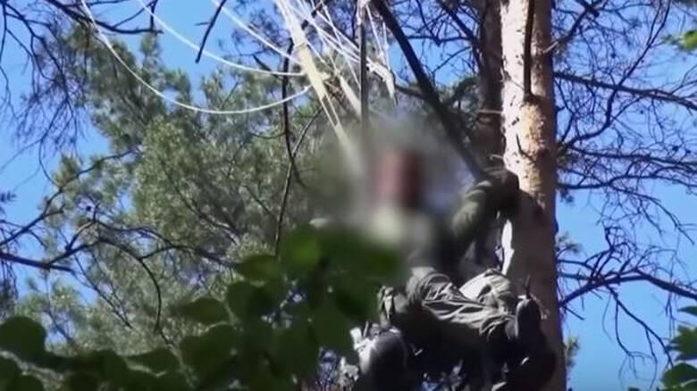 Σύγκρουση Eurofighter: Η στιγμή που εντοπίζεται ο πιλότος στην κορυφή ενός δέντρου (βίντεο)