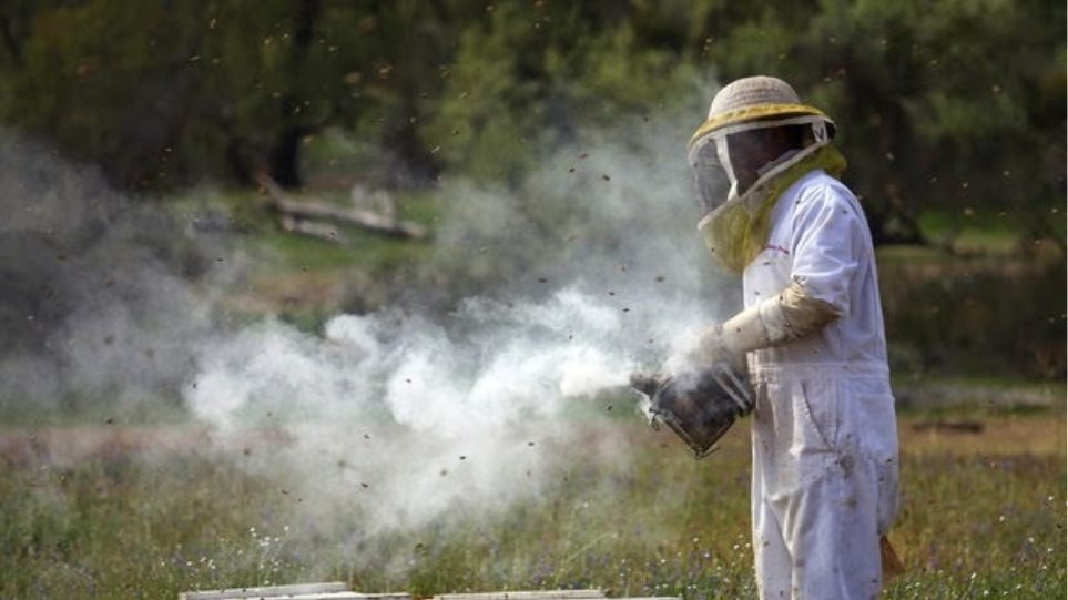 Σε κρίσιμη κατάσταση ένας 70χρονος που δέχτηκε επίθεση από χιλιάδες μέλισσες