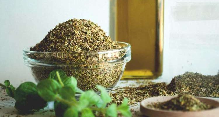 Ρίγανη: Το ταπεινό φυτό που θεραπεύει σχεδόν τα πάντα και δεν κοστίζει τίποτα