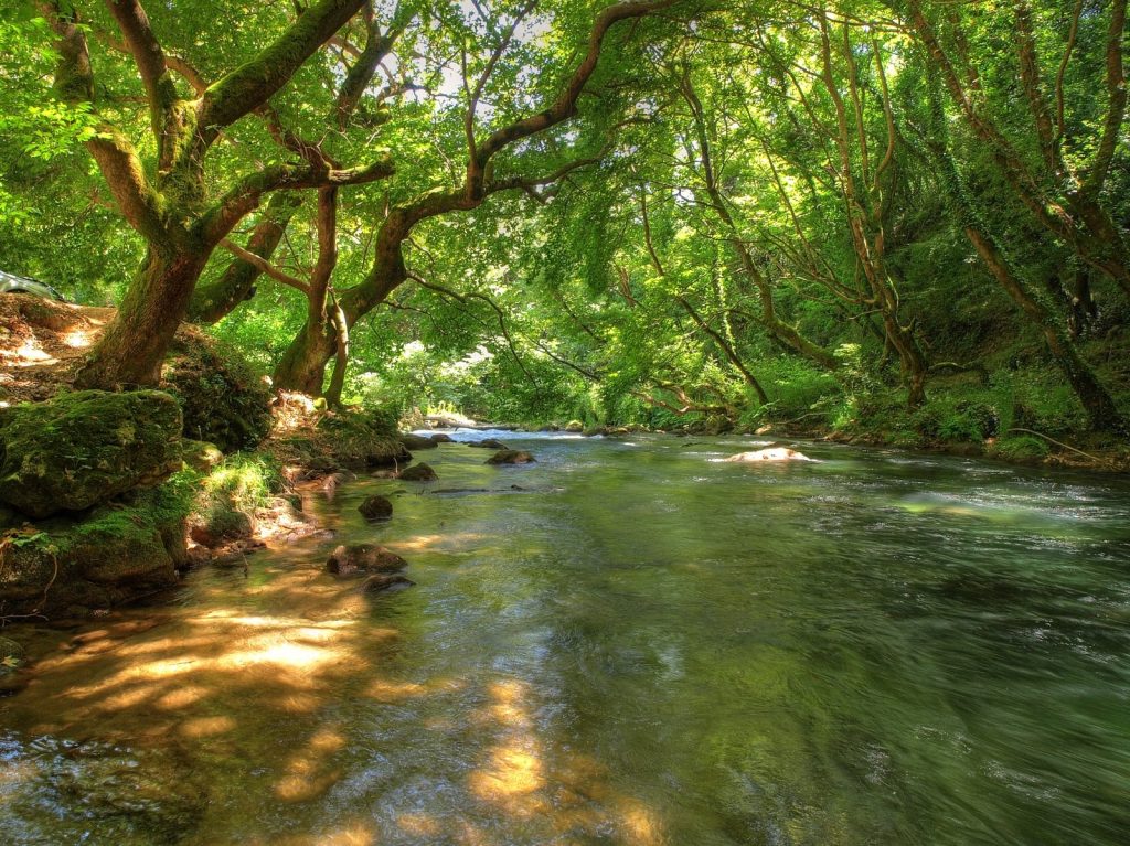 Γιατί τα ποτάμια δεν είναι σε ευθεία γραμμή; (βίντεο)