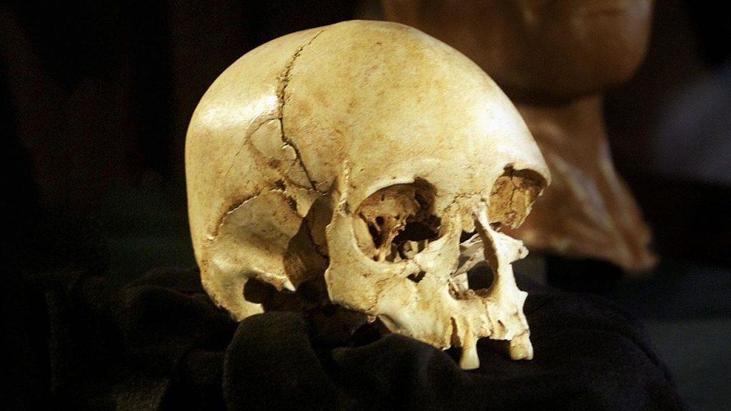Ελληνίδες ερευνήτριες έλυσαν το μυστήριο με τον φόνο ενός άνδρα που έγινε πριν από 33.000 χρόνια