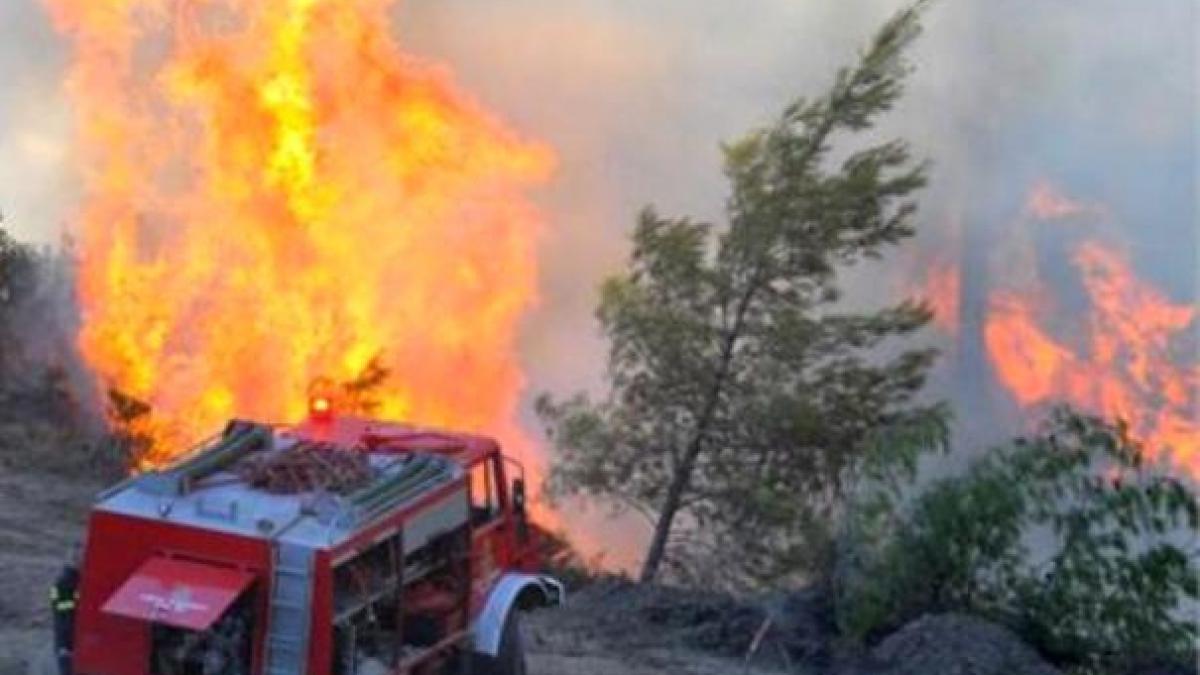 Έπιασαν άνδρα για φωτιές στην Κόρινθο!