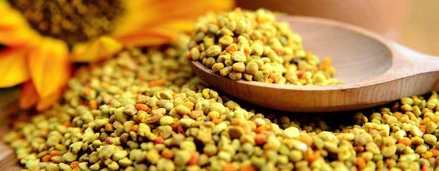 Θρεπτικές και θεραπευτικές ιδιότητες της γύρης