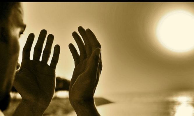 Η φοβερή μαρτυρία Τούρκου γκρίζου λύκου που βαπτίστηκε Γιώργος