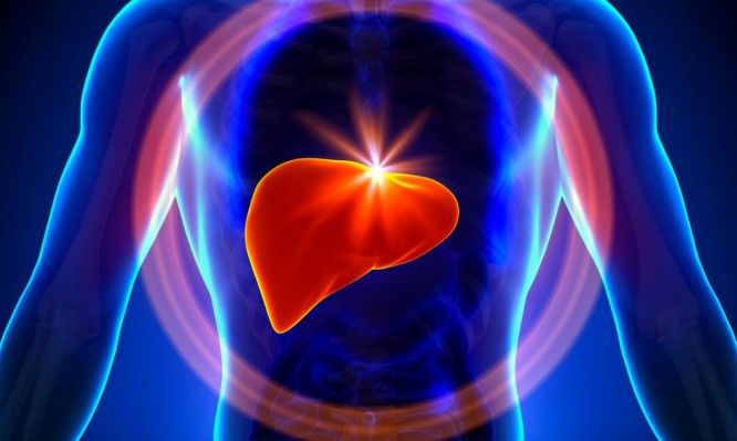 Αυτές οι τροφές θα σας βοηθήσουν να αποτοξινώσετε φυσικά το συκώτι σας