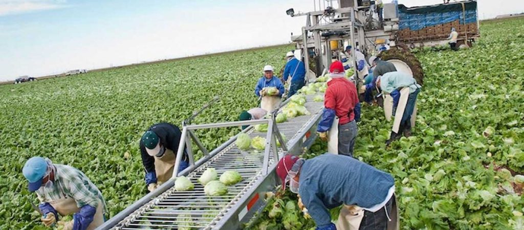 Μείωση φορολογίας στο 10% για τους παραγωγούς προωθεί το υπ. Αγροτικής Ανάπτυξης