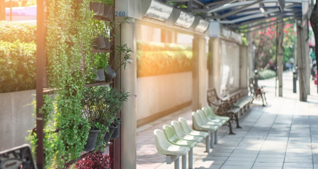 Ολλανδία: Καλύπτουν με φυτά και λουλούδια τις στάσεις των λεωφορείων – Το δώρο τους στις μέλισσες (φωτο)