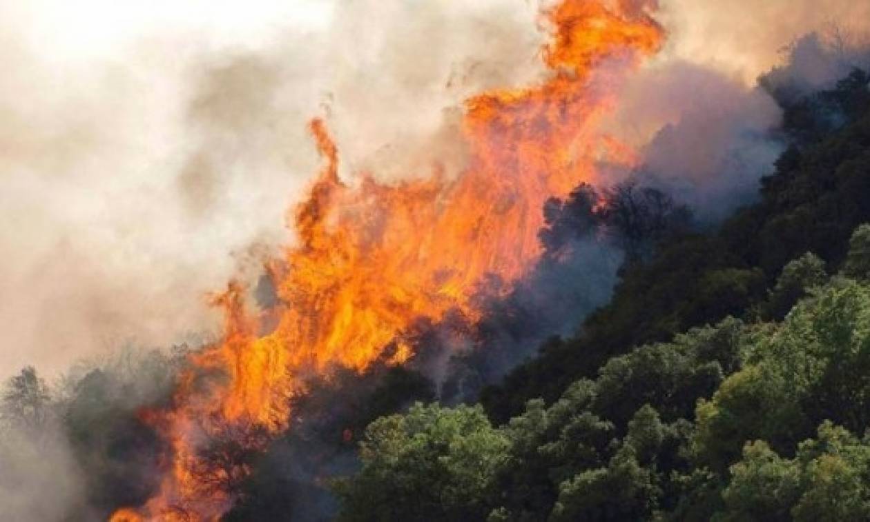 Σε συναγερμό η πυροσβεστική στην Εύβοια – Τρεις πυρκαγιές μέσα σε λίγη ώρα