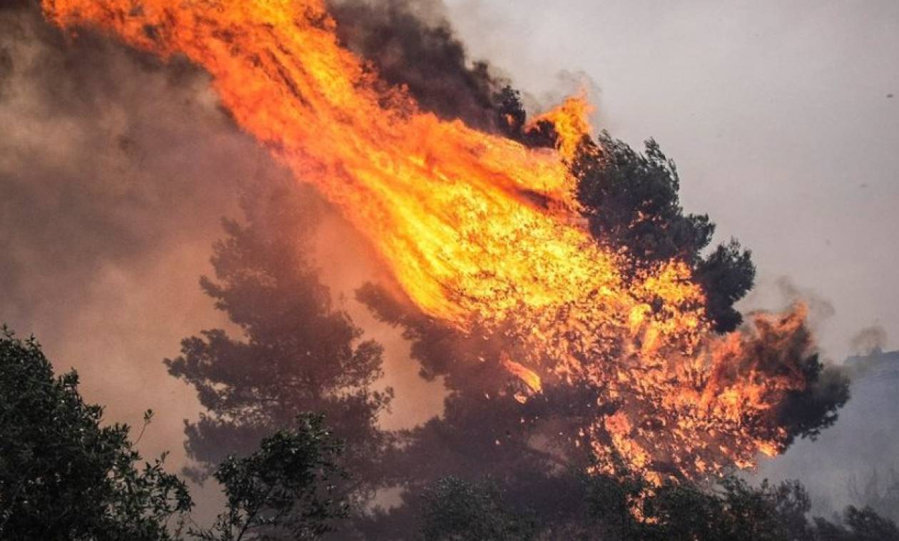Πυρκαγιά ξέσπασε στη Λευκάδα