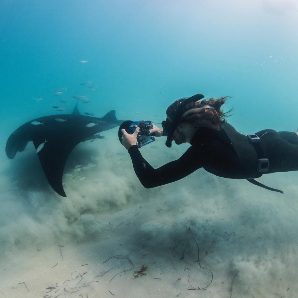 Συγκλονιστικό: Σαλάχι – γίγας ζητάει βοήθεια από δύτη (βίντεο)