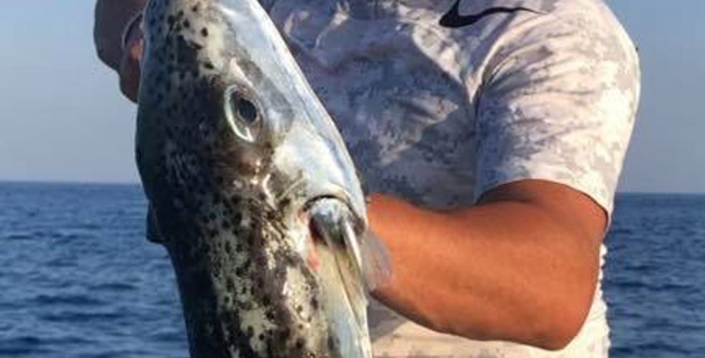 Κρήτη: Ο ψαράς είδε στα δίχτυα του ένα μεγάλο λαγοκέφαλο