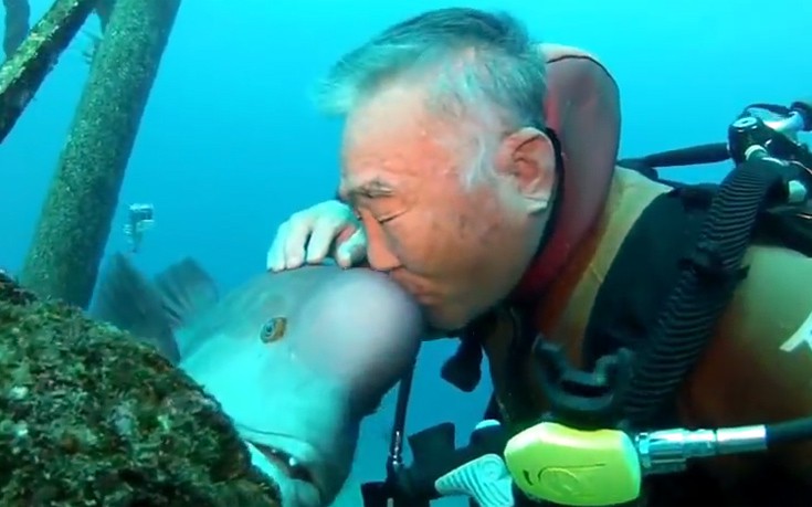 Αυτός ο Ιάπωνας δύτης είναι φίλος με ένα ψάρι εδώ και 25 χρόνια (βίντεο)