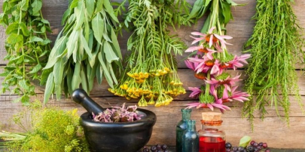 Αυτά τα 5 βότανα αυξάνουν τη θρεπτική αξία των φαγητών