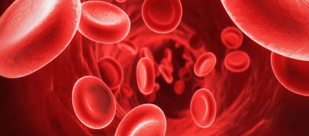 Tο αντιοξειδωτικό υπερτρόφιμο που ρίχνει τη χοληστερόλη και την πίεση