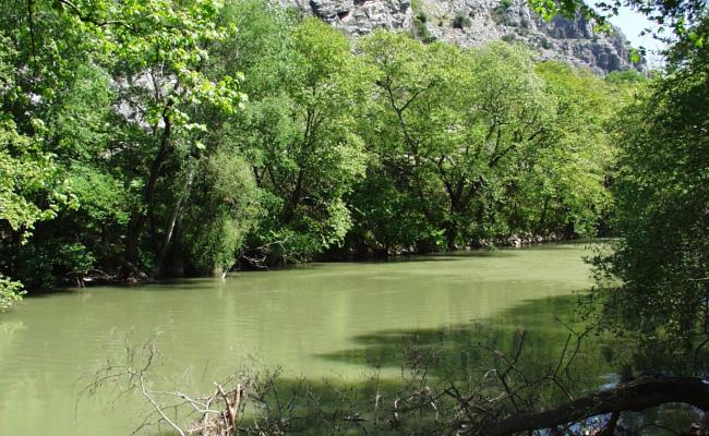 Nεκρή γυναίκα βρέθηκε στις όχθες του Πηνειού