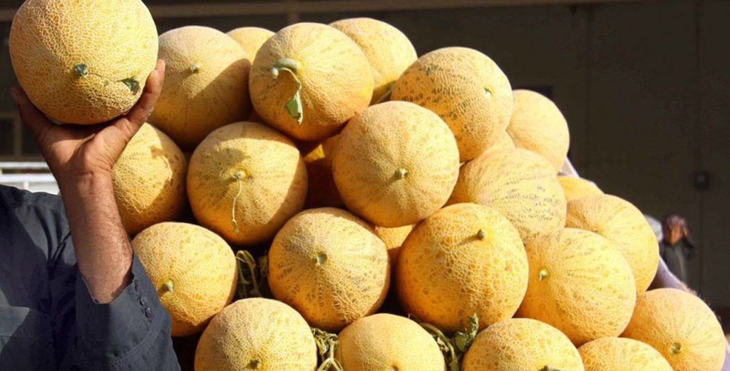 Δεσμεύτηκαν 2 τόνοι πεπόνια από αγορά του Πειραιά