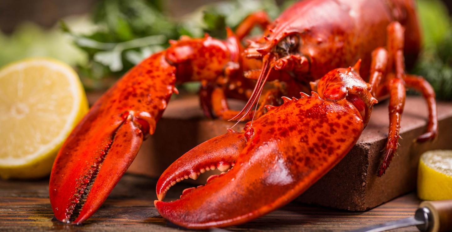 Σήμερα τον ακριβοπληρώνουμε αλλά κάποτε ο αστακός ήταν η «πρωτεϊνη των φτωχών»