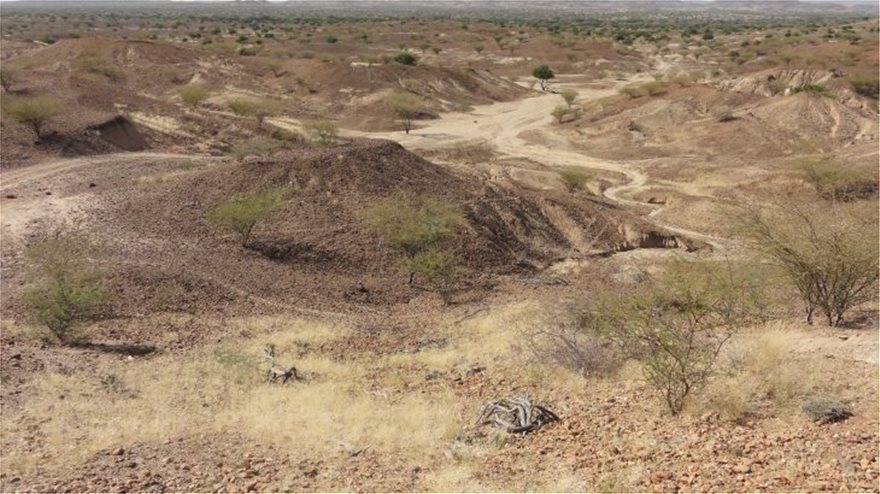 Κένυα: Ανακάλυψαν απολίθωμα μικροσκοπικού πιθήκου 4,2 εκατ. ετών