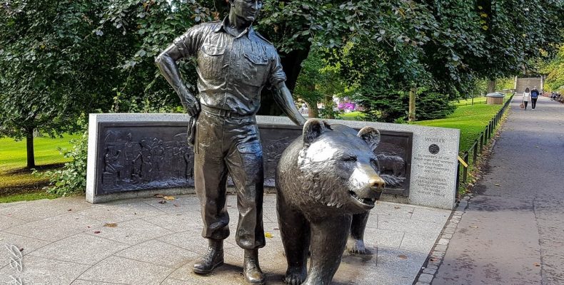 Αυτή η αρκούδα είχε καταταγεί στον στρατό (φωτο)