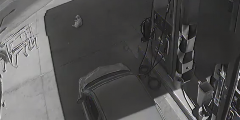 Χανιά: Αυτοκίνητο πάτησε και σκότωσε σκύλο σε βενζινάδικο – Τον εγκατέλειψε αβοήθητο (βίντεο)