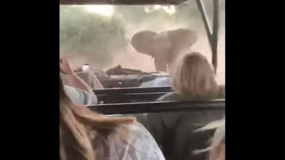Νότια Αφρική: Ελέφαντας πήρε στο κυνήγι τουρίστες – Έσπειρε τον πανικό (βίντεο)