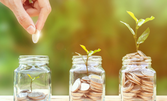 To φυτό των χρημάτων – Ανθίζουν τα οικονομικά σου
