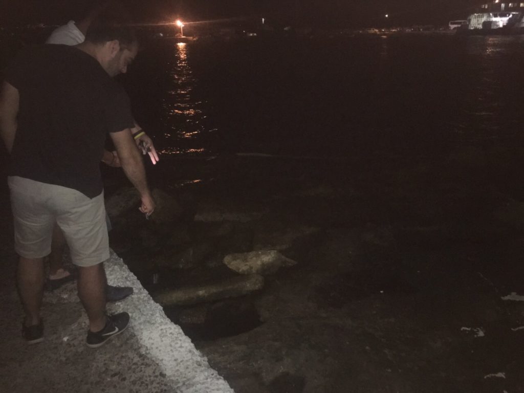 Τεράστια πετρελαιοκηλίδα στην Ελαφόνησο (φωτο)