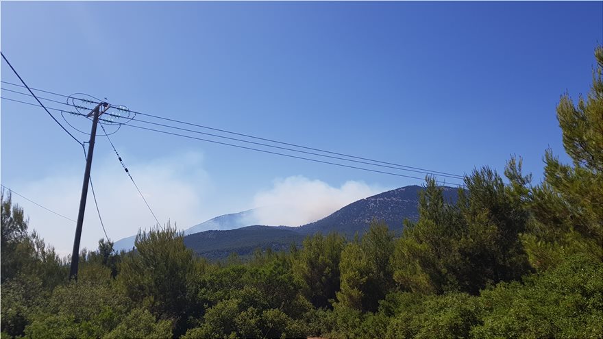 Κιθαιρώνας: Παραμένει εκτός ελέγχου η φωτιά – Ολονύχτια μάχη