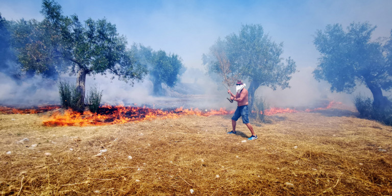 «Εργο εμπρηστών η πυρκαγιά -Τραγικά τα ευρήματα» λέει ο Δήμαρχος Μαρκοπούλου