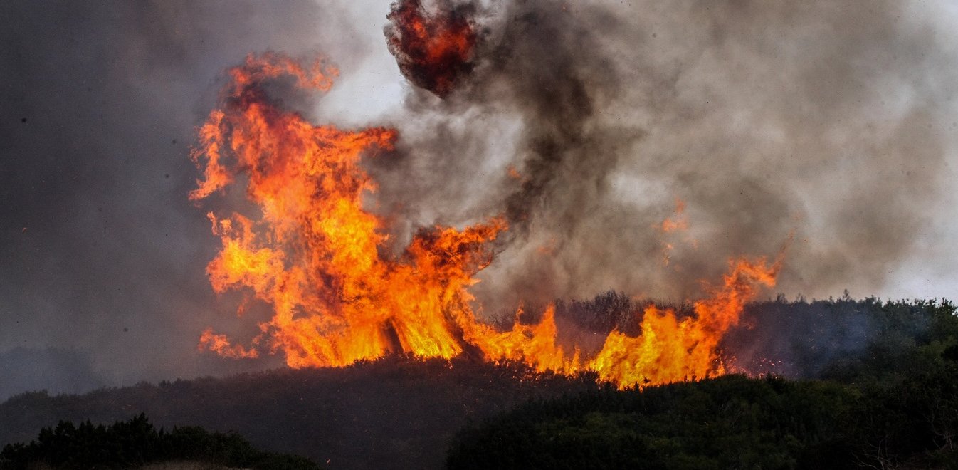 Μεσσηνία: Πυρκαγιά στην Κλάκοβα Μεγαλόπολης