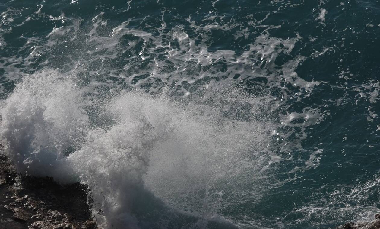 Κρήτη: Ασυνείδητος πέταξε σκυλάκι στην θάλασσα και το άφησε να παλεύει με τα κύματα (βίντεο)