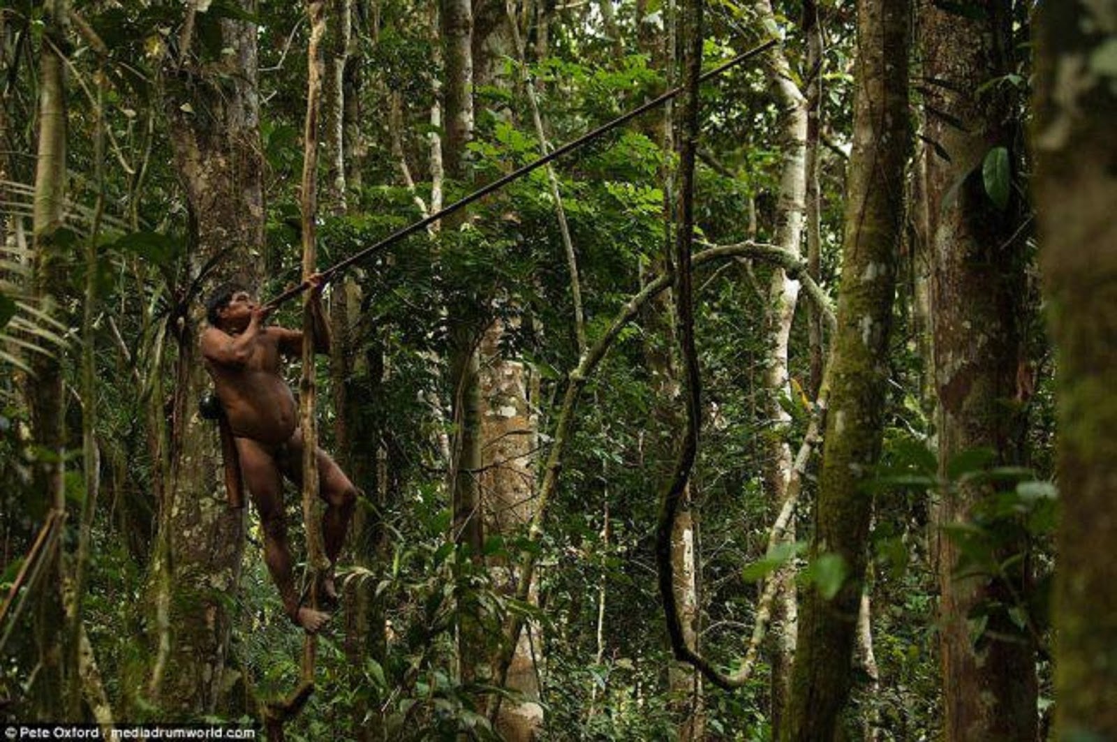 Βίντεο με άνδρα φυλής που ζει στον Αμαζόνιο ανέγγιχτη και απομονωμένη