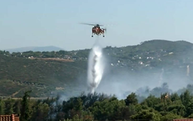 Δήμαρχος Ραφήνας για τη φωτιά: «Την προλάβαμε»