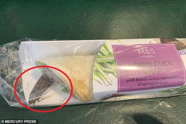 Βρήκε μέσα στο συσκευασμένο σάντουιτς που είχε αγοράσει έναν τεράστιο ζωντανό σκόρο (βίντεο)