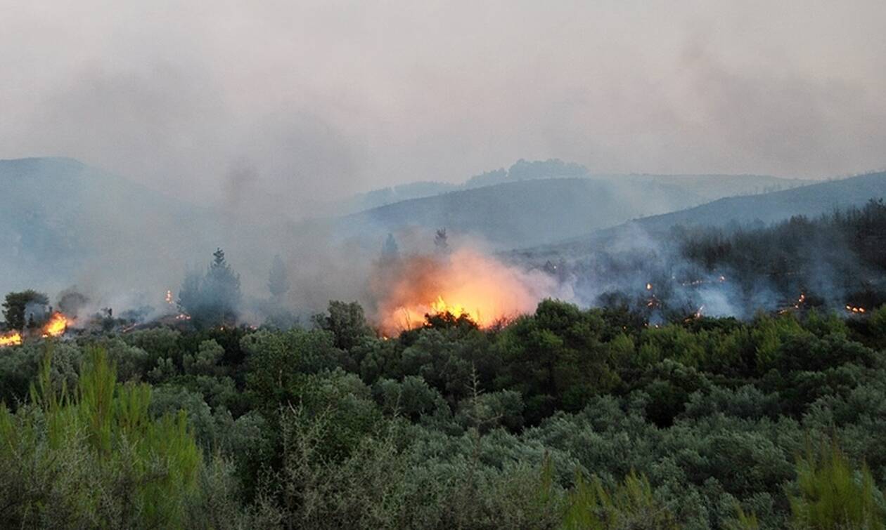 Κρήτη: Πυρκαγιά ξέσπασε στην Αγία Βάρβαρα του Δήμου Γόρτυνας